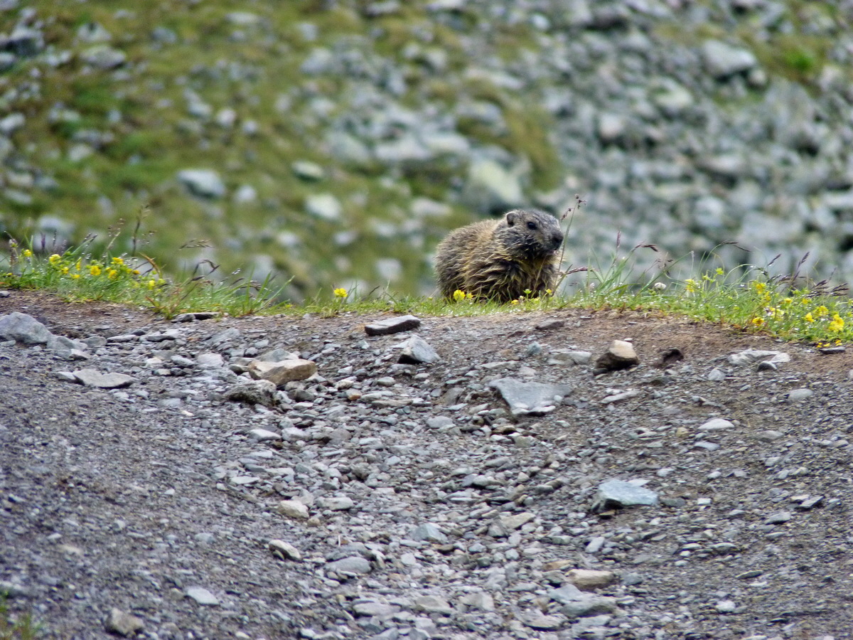 P1150266p_Bildgr��e �ndern