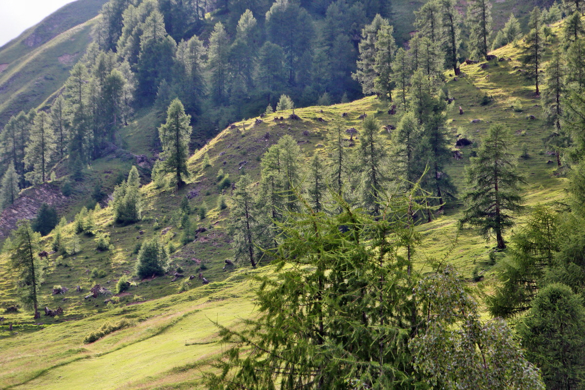 2014_07_27_00005360p_Bildgr��e �ndern