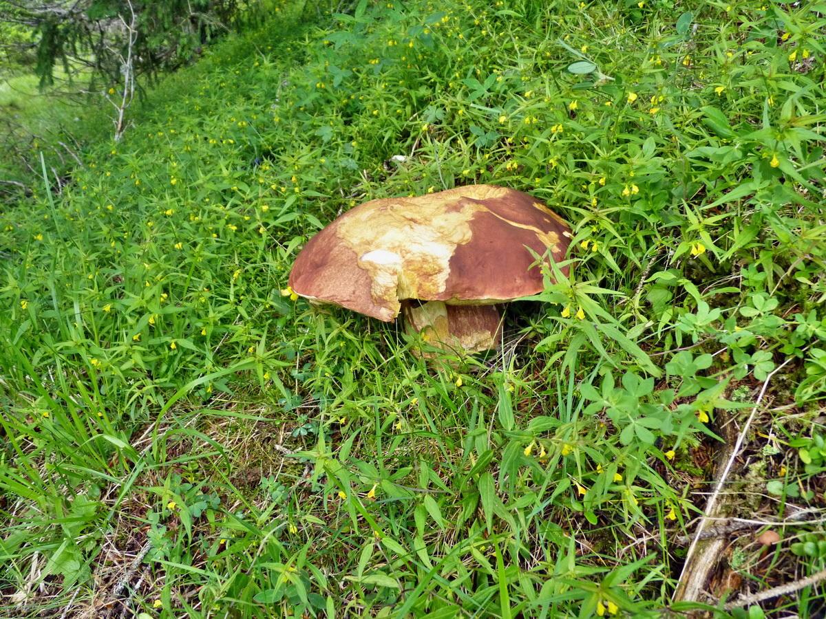 P1150322p_Bildgr��e �ndern