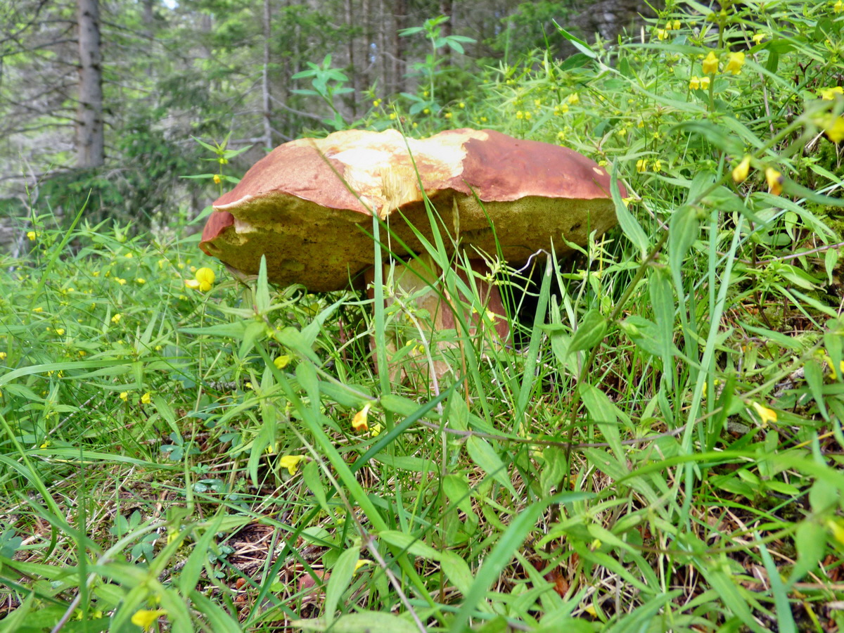 P1150324p_Bildgr��e �ndern