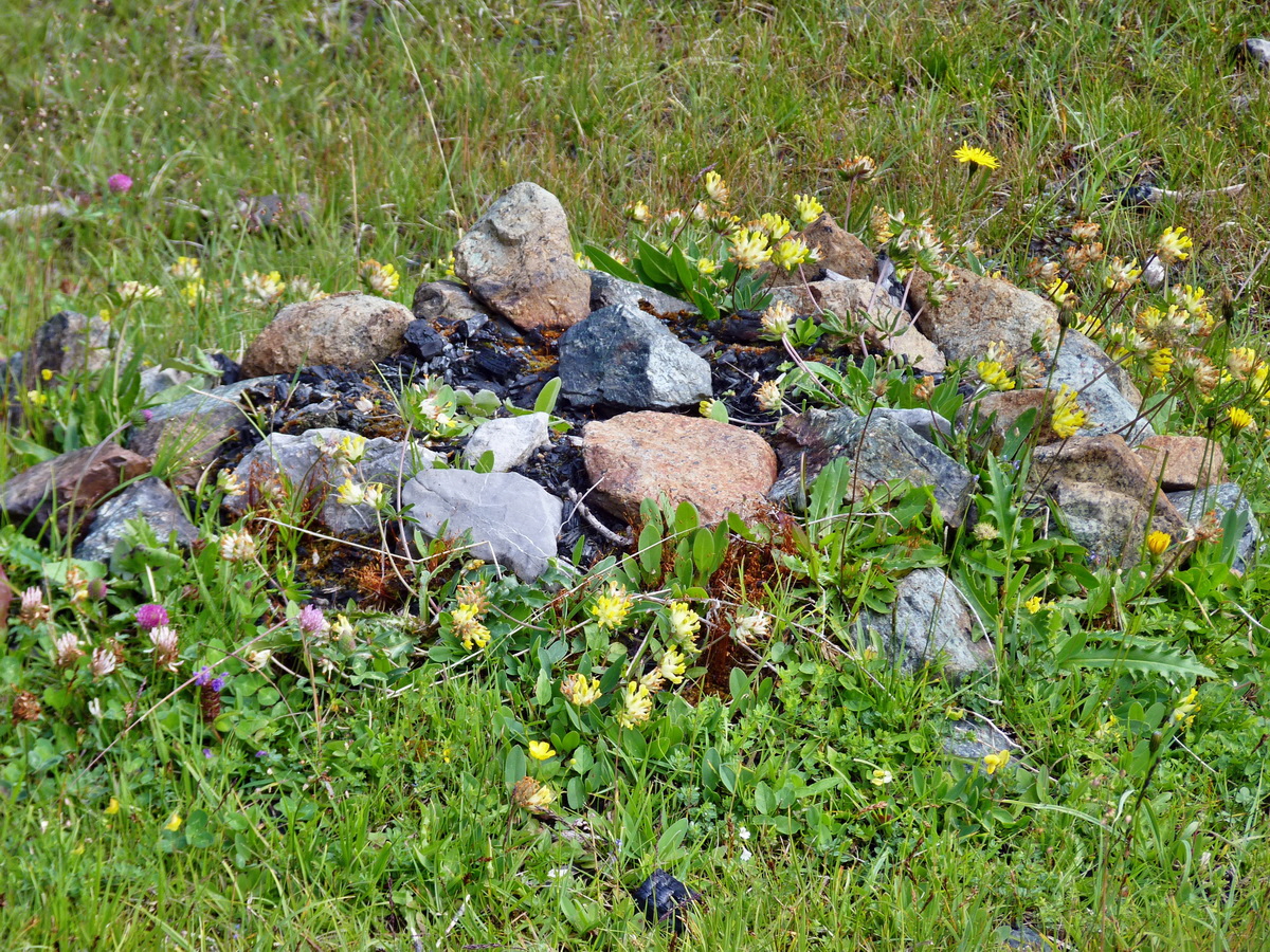 P1150333p_Bildgr��e �ndern