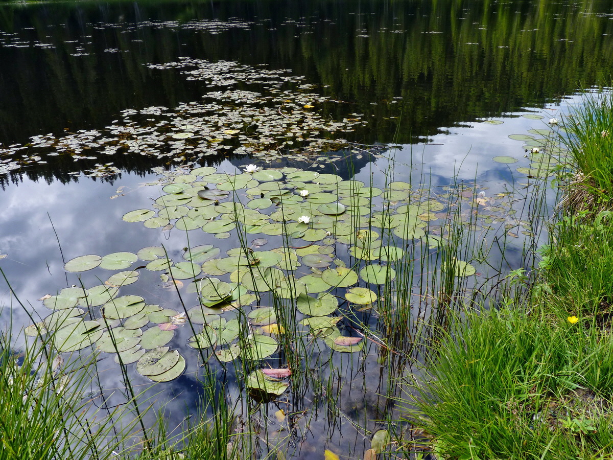 P1150350p_Bildgr��e �ndern