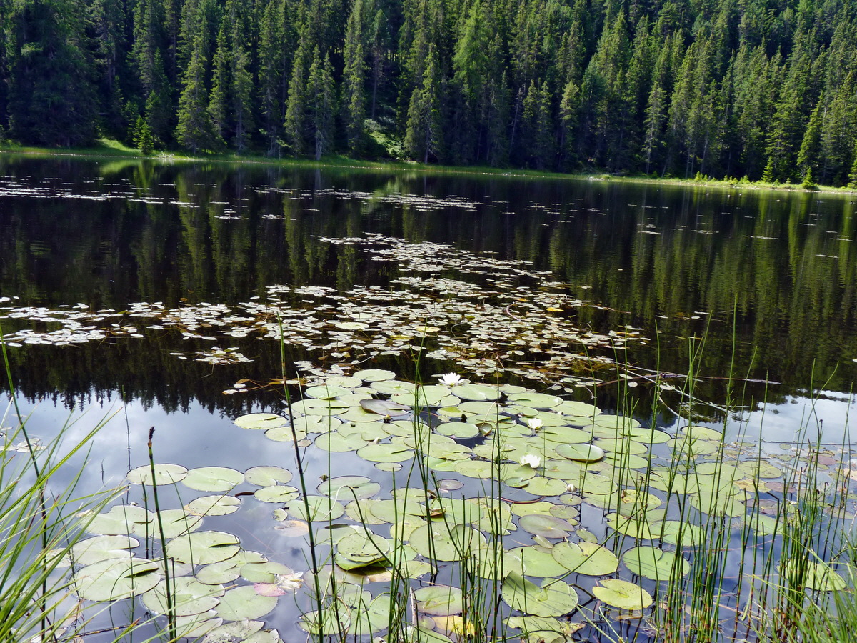 P1150355p_Bildgr��e �ndern