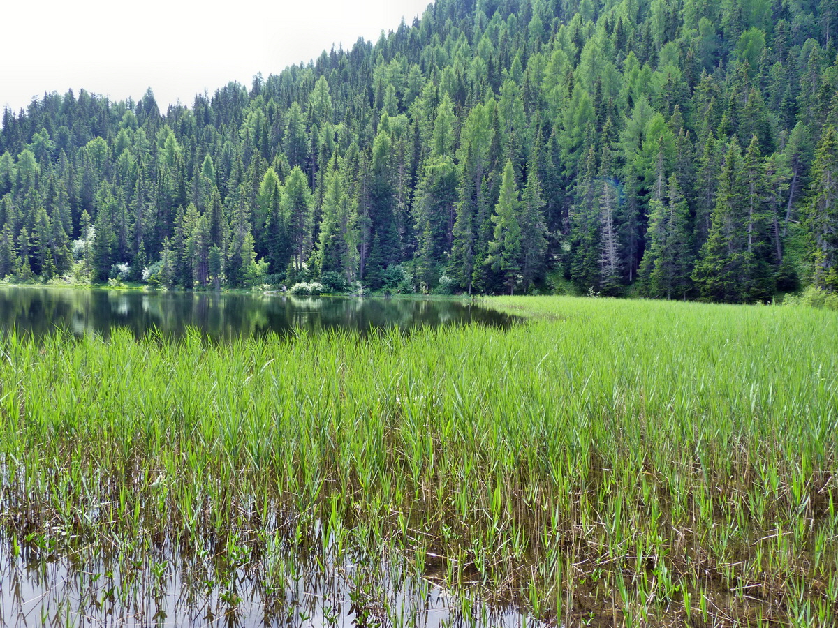 P1150379p_Bildgr��e �ndern