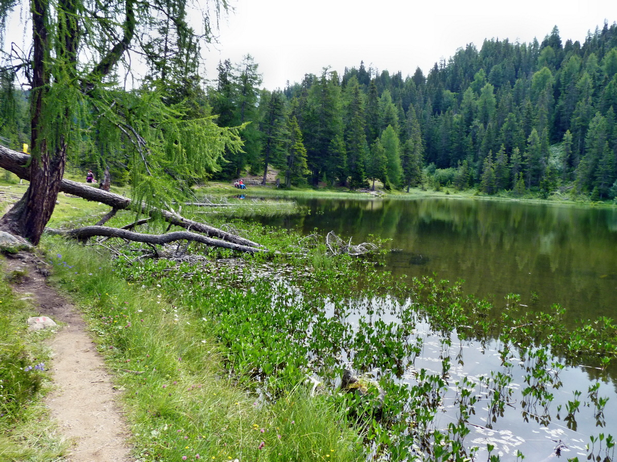 P1150388p_Bildgr��e �ndern