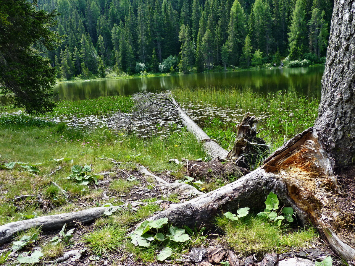 P1150390p_Bildgr��e �ndern