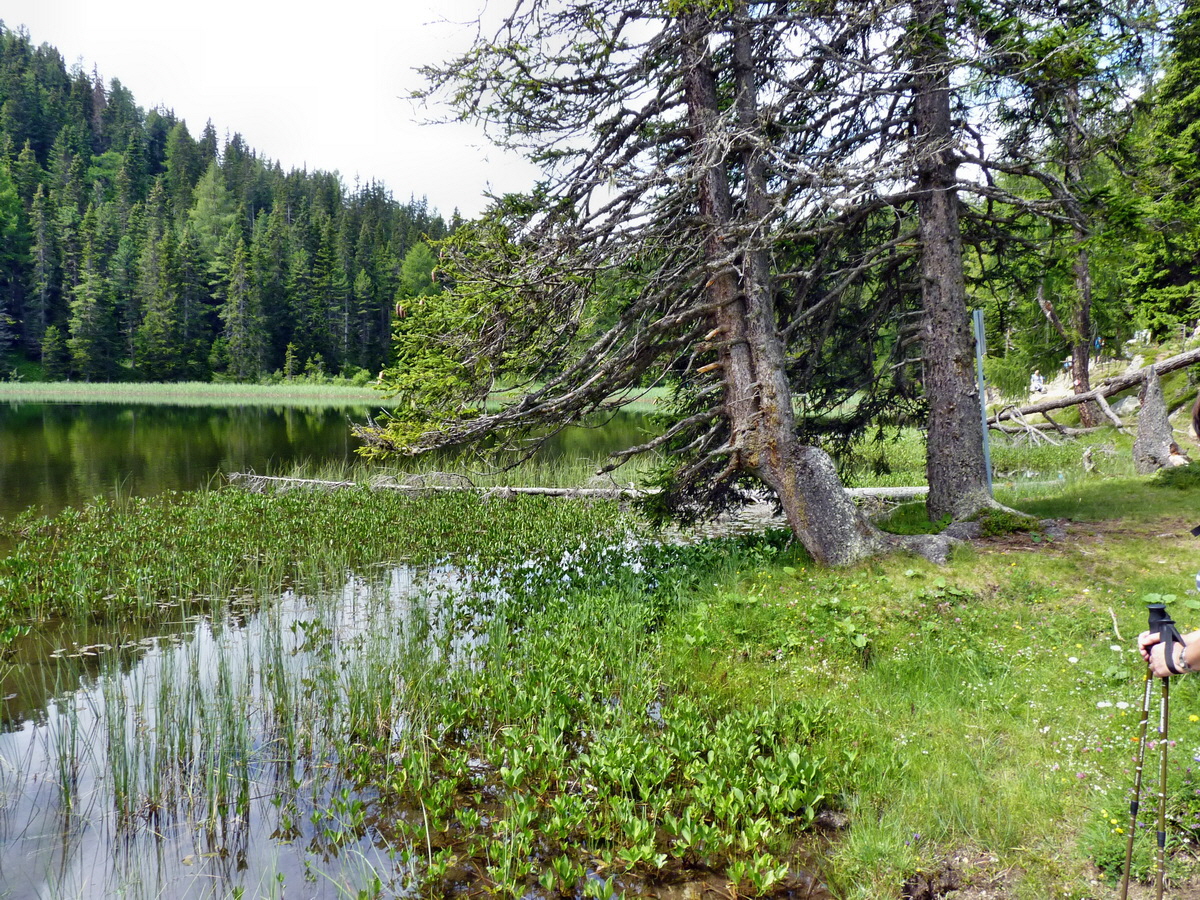 P1150393p_Bildgr��e �ndern