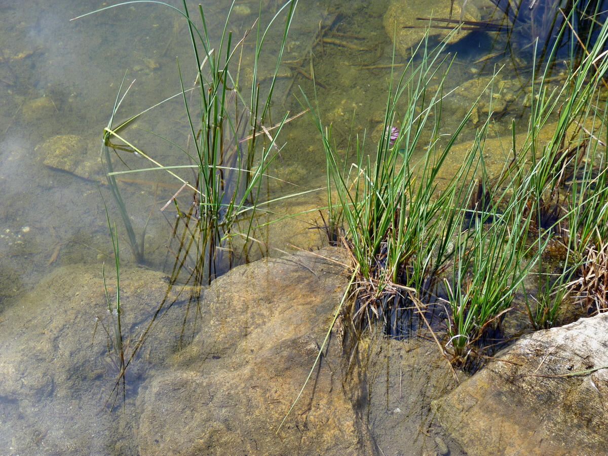 P1150397p_Bildgr��e �ndern