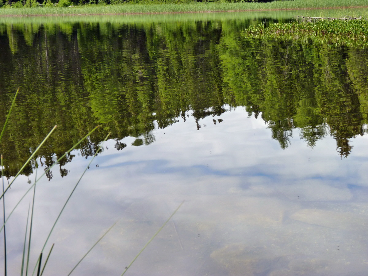 P1150401p_Bildgr��e �ndern