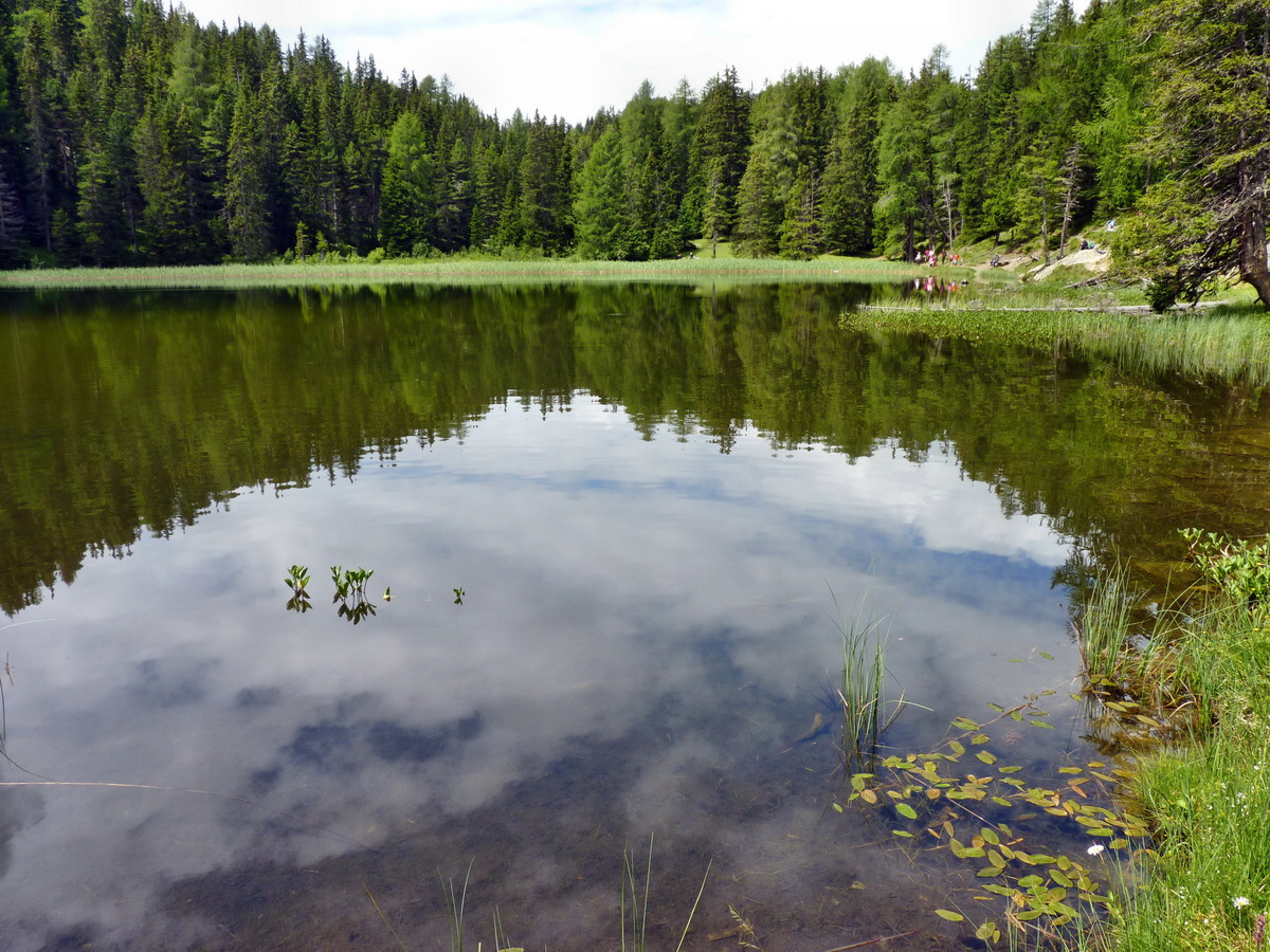 P1150404p_Bildgr��e �ndern