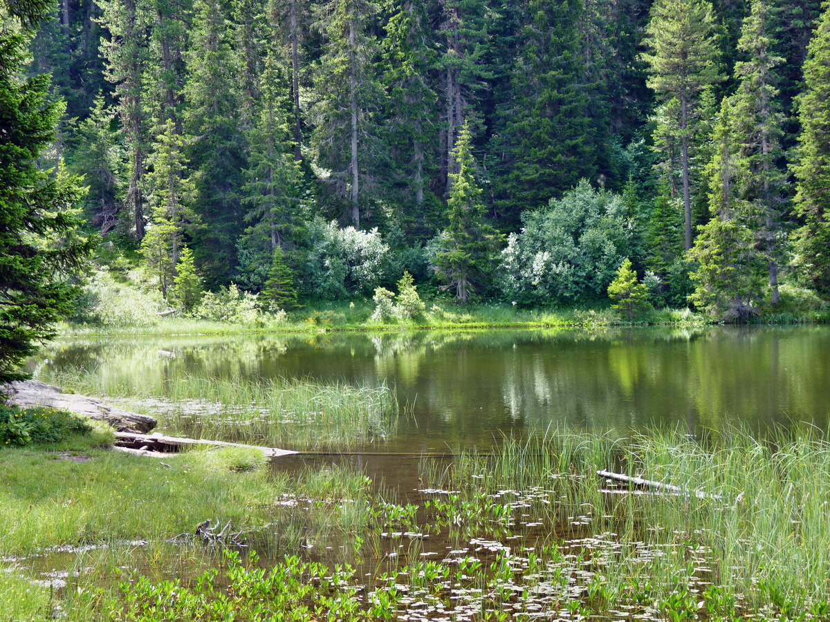 P1150407p_Bildgr��e �ndern