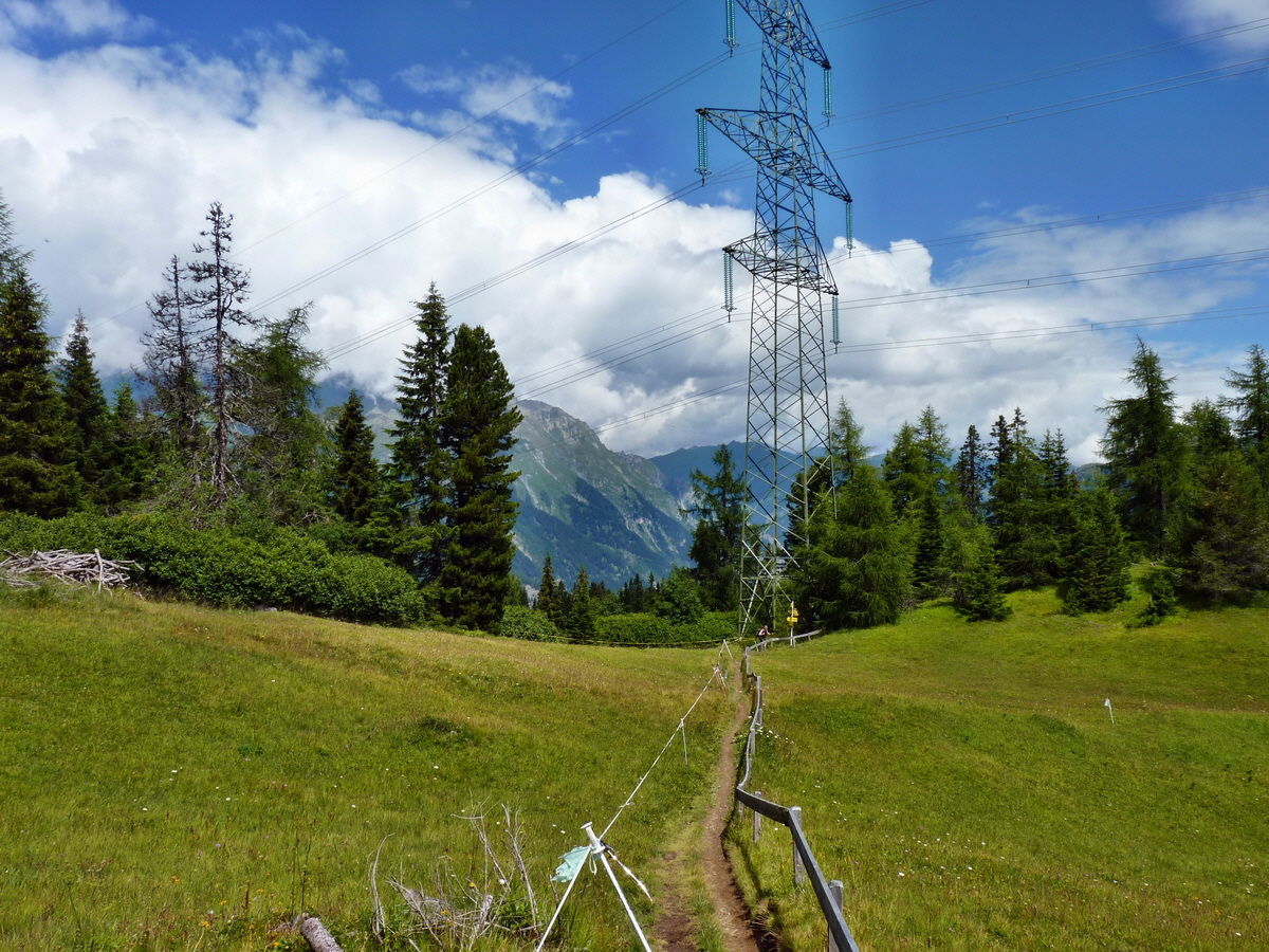 P1150411p_Bildgr��e �ndern