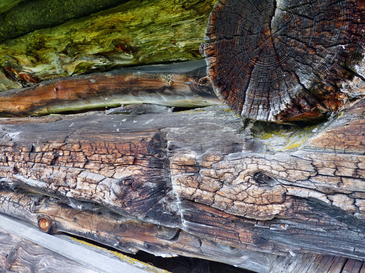 P1150438p_Bildgr��e �ndern