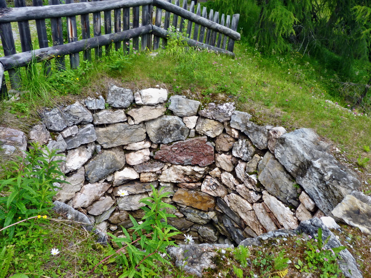 P1150484p_Bildgr��e �ndern