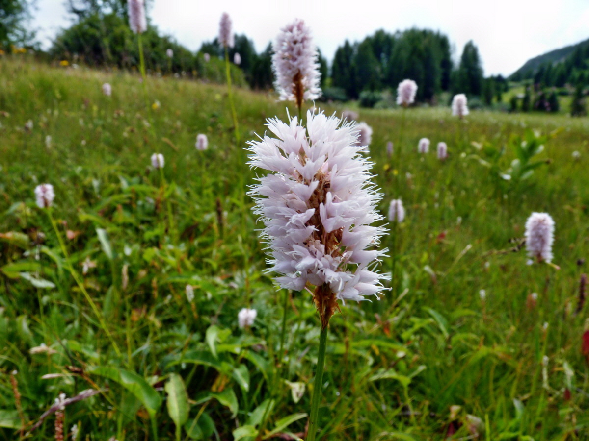 P1150505p_Bildgr��e �ndern