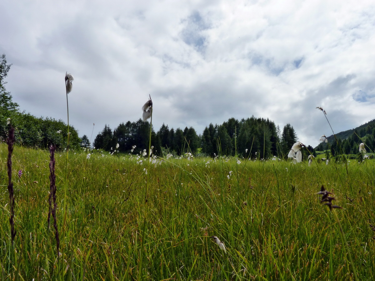 P1150560p_Bildgr��e �ndern