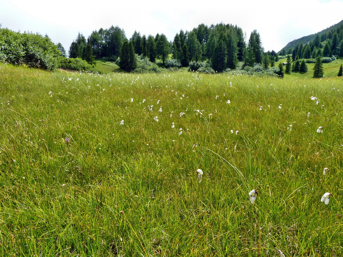 P1150566p_Bildgr��e �ndern