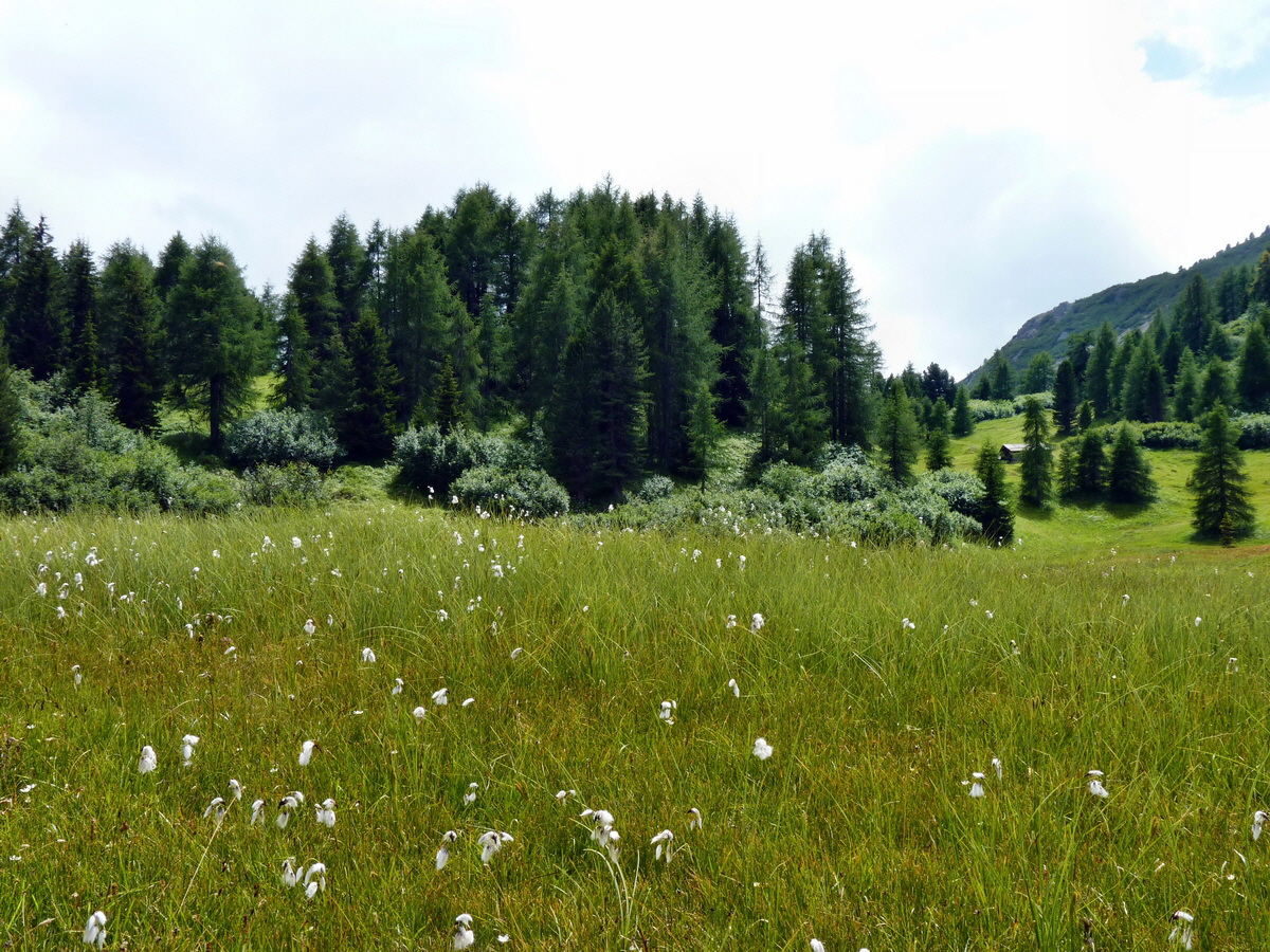 P1150579p_Bildgr��e �ndern