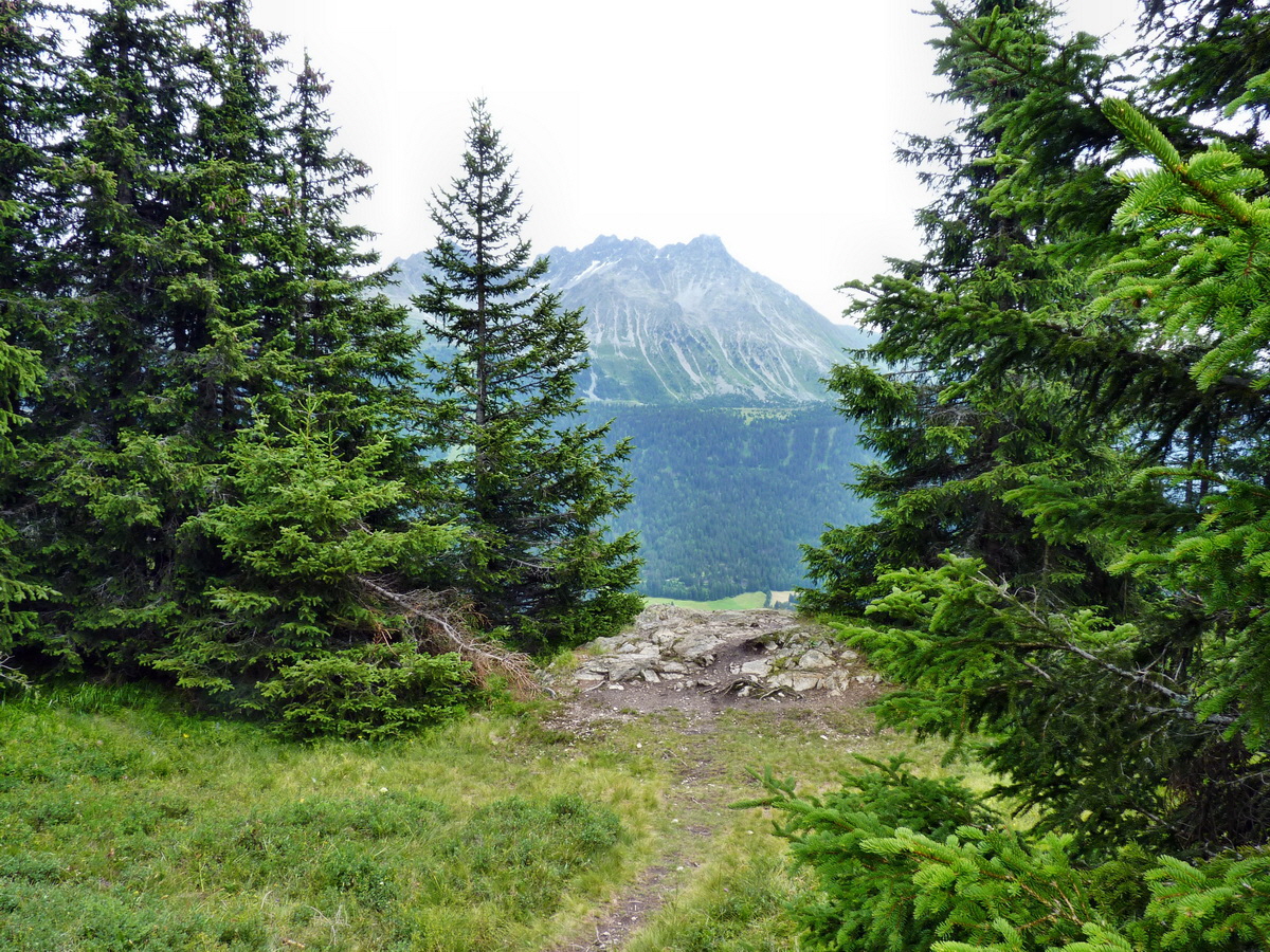 P1150582p_Bildgr��e �ndern