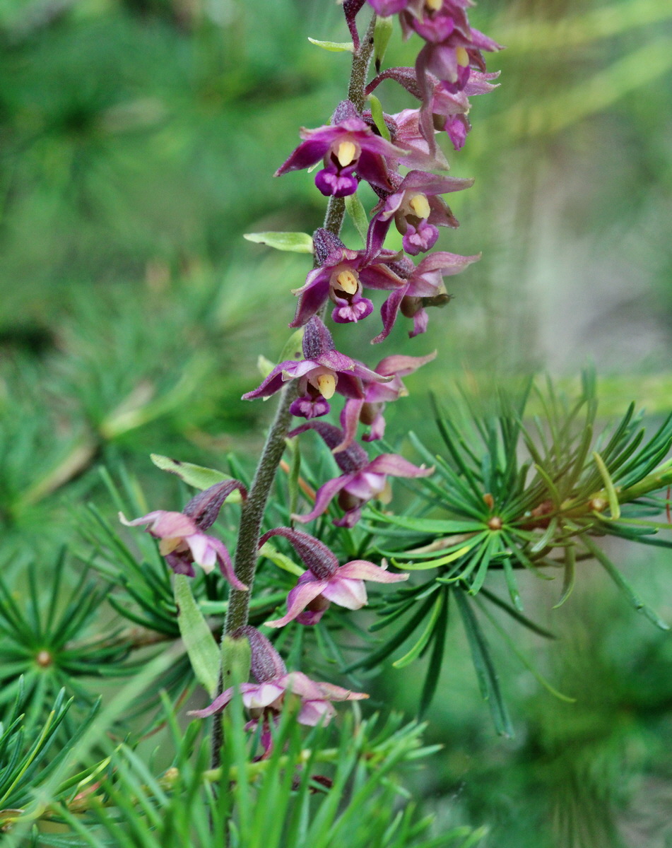 [Group 25]-2014_07_28_00005885_2014_07_28_00005888-2 imagesp_Bildgr��e �ndern