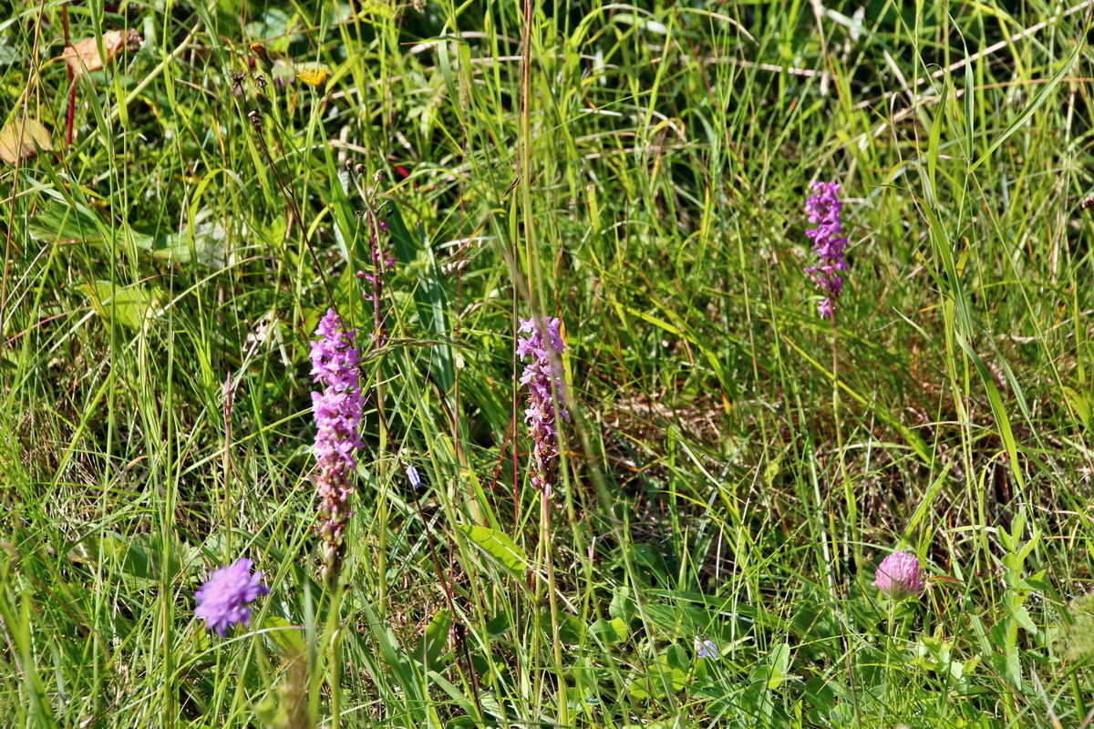 2014_07_28_00005385p_Bildgr��e �ndern