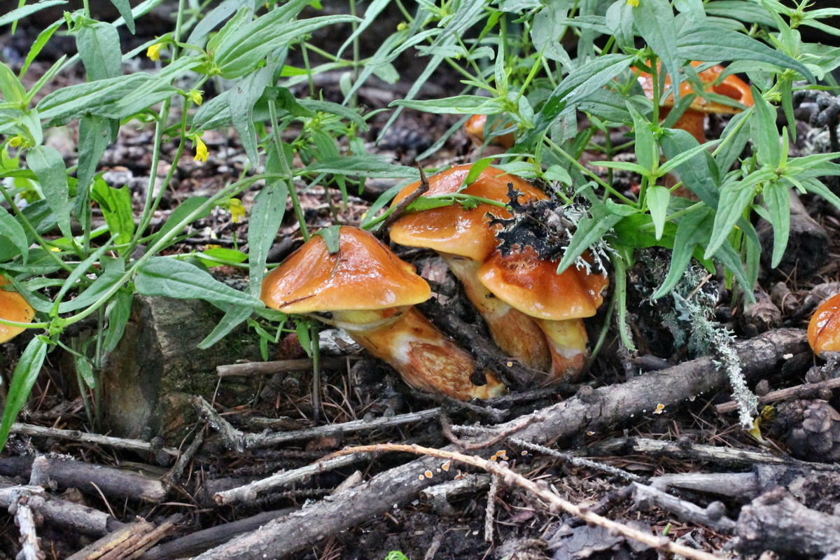 2014_07_28_00005607p_Bildgr��e �ndern