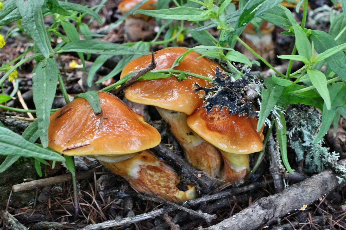 2014_07_28_00005612p_Bildgr��e �ndern