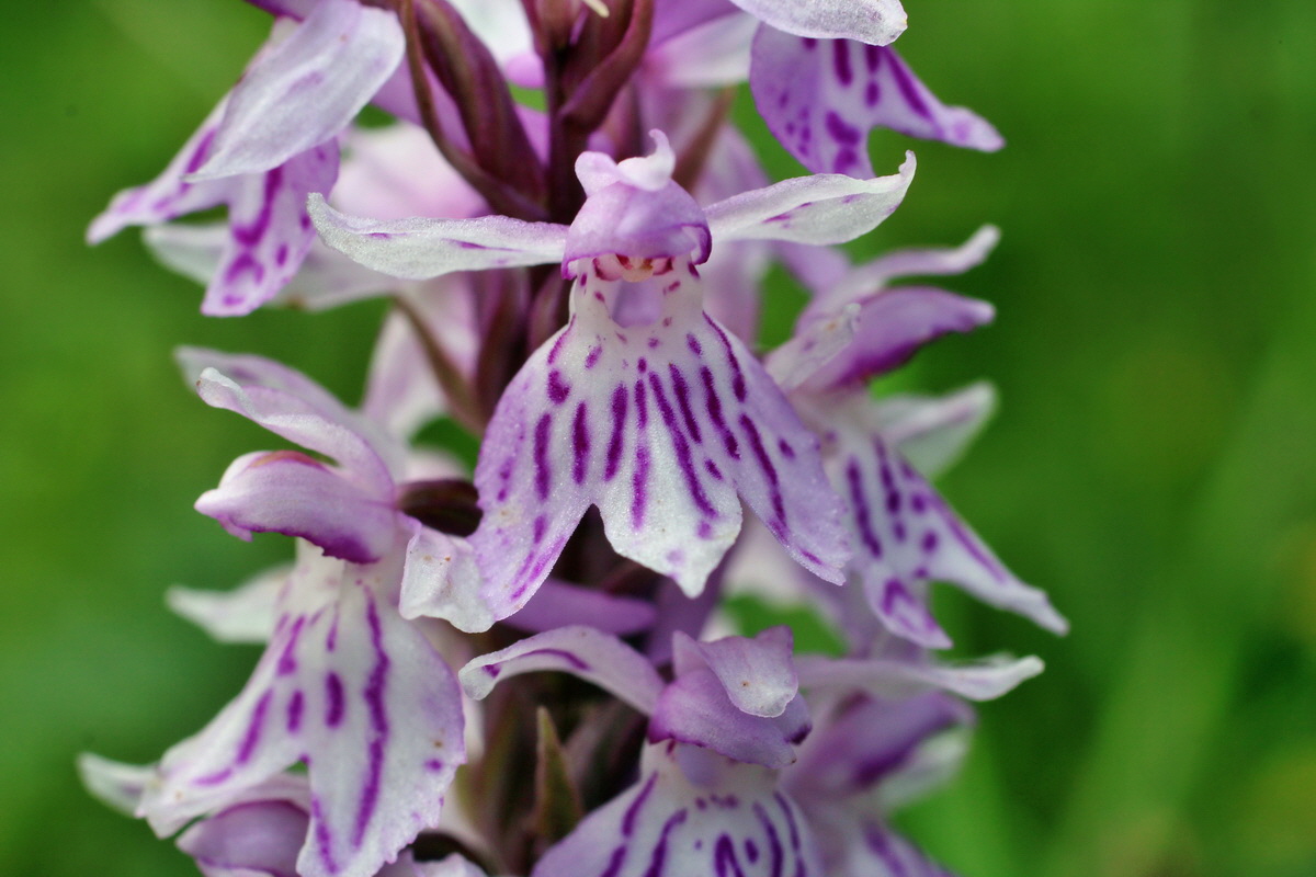 2014_07_28_00005614p_Bildgr��e �ndern