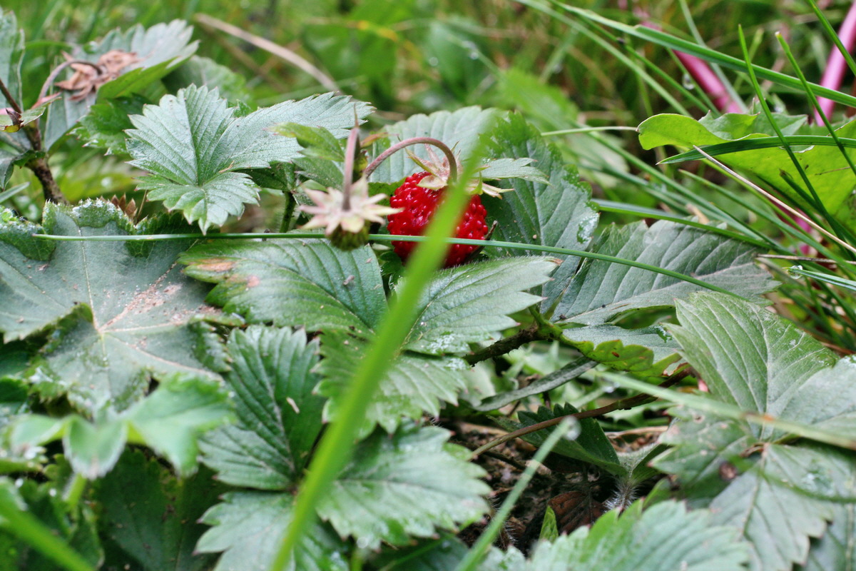 2014_07_28_00005619p_Bildgr��e �ndern