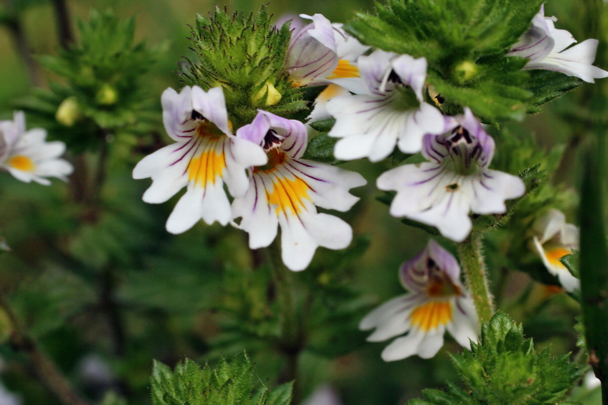 2014_07_28_00005626p_Bildgr��e �ndern