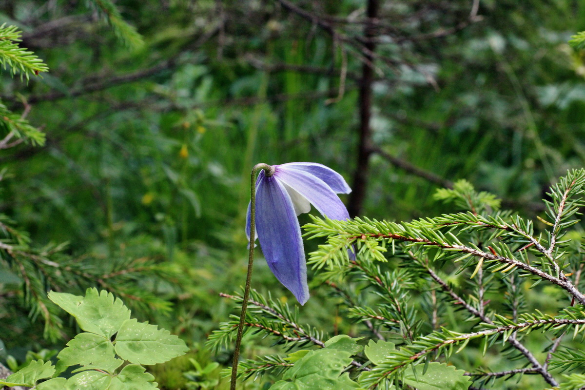 2014_07_28_00005637p_Bildgr��e �ndern