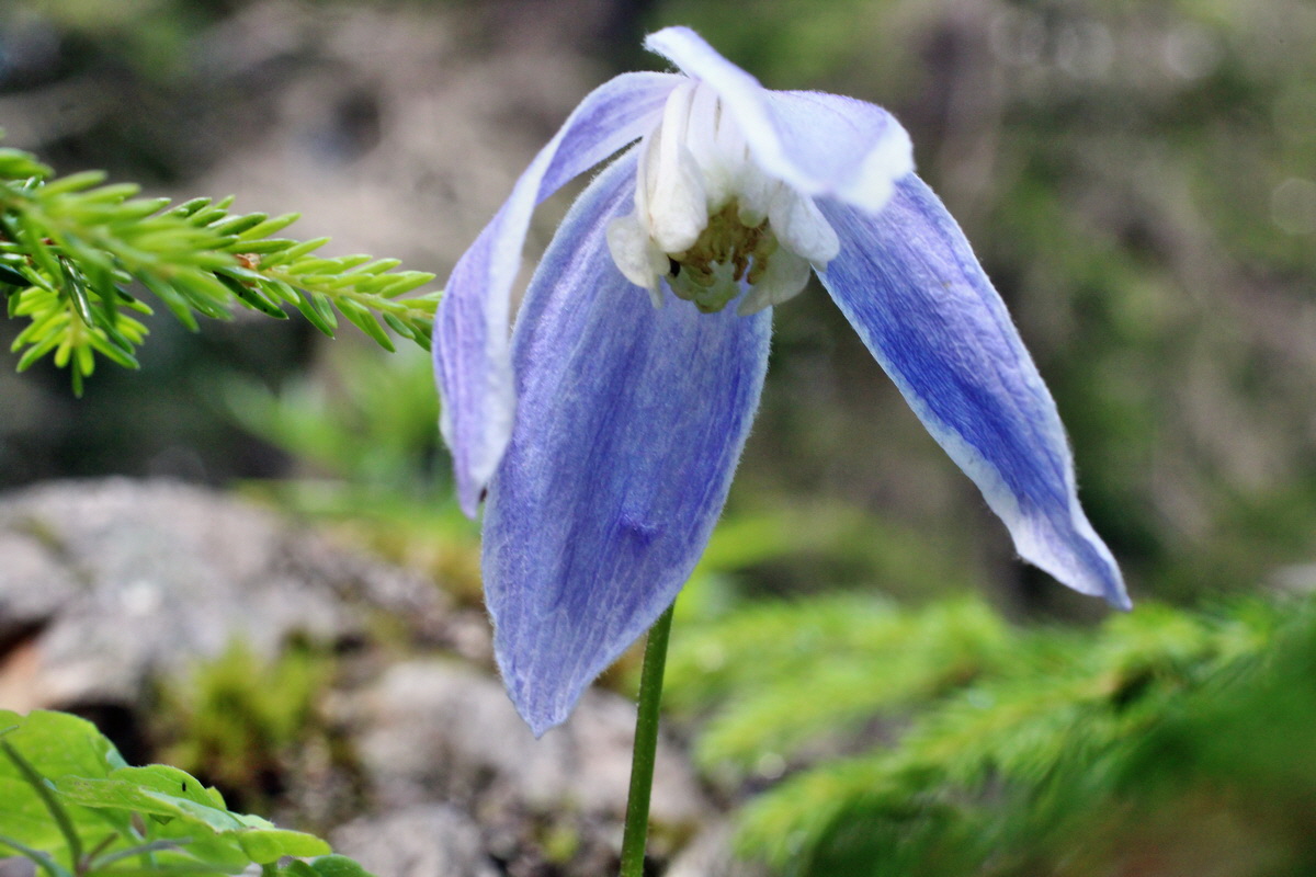 2014_07_28_00005641p_Bildgr��e �ndern