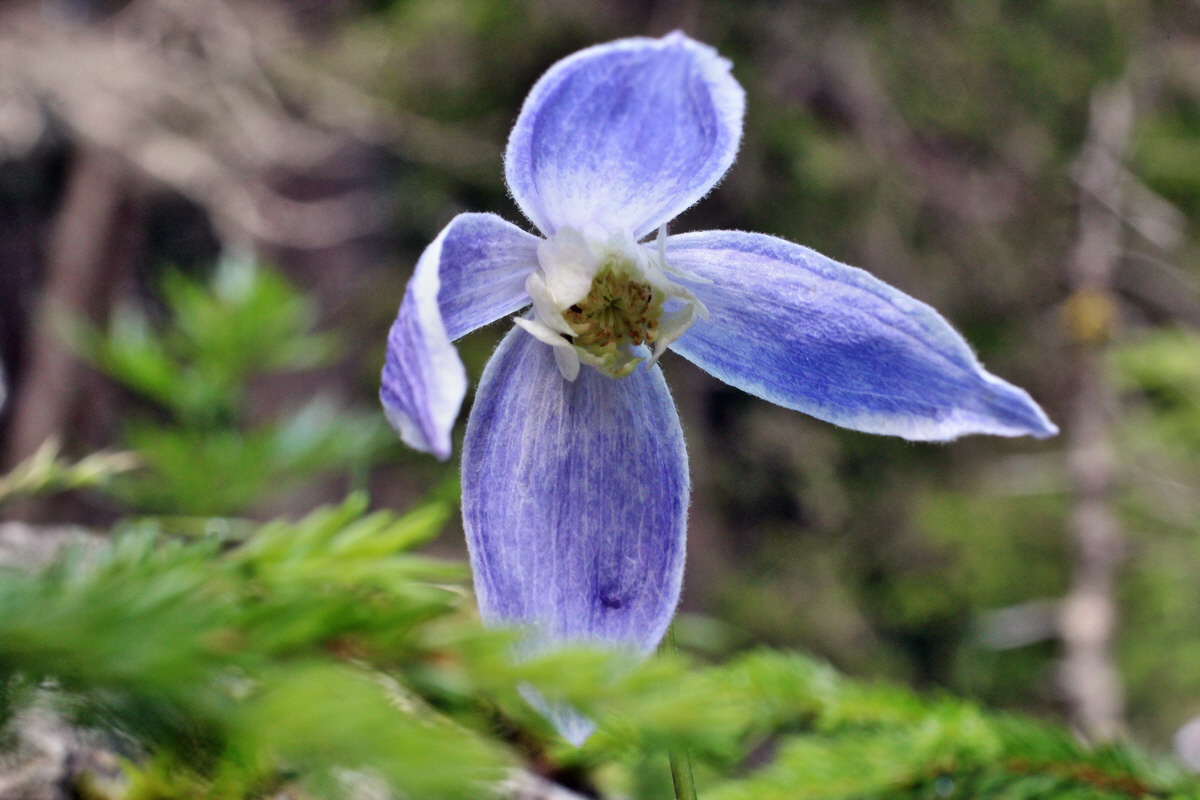 2014_07_28_00005645p_Bildgr��e �ndern