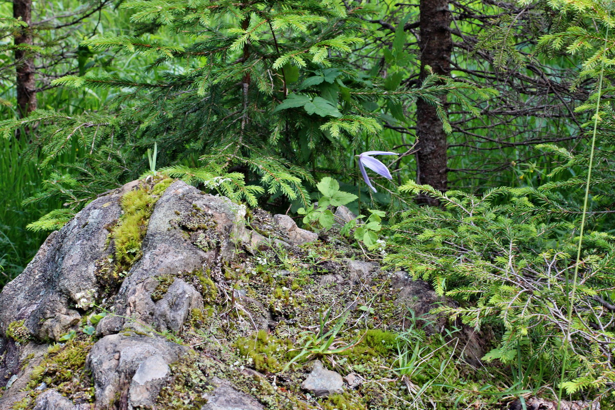 2014_07_28_00005650p_Bildgr��e �ndern