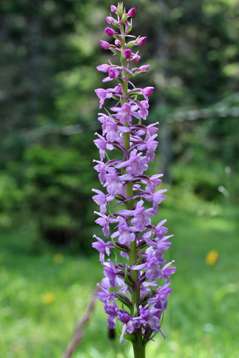 2014_07_28_00005654p_Bildgr��e �ndern