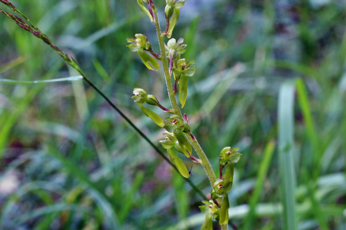 2014_07_28_00005656p_Bildgr��e �ndern