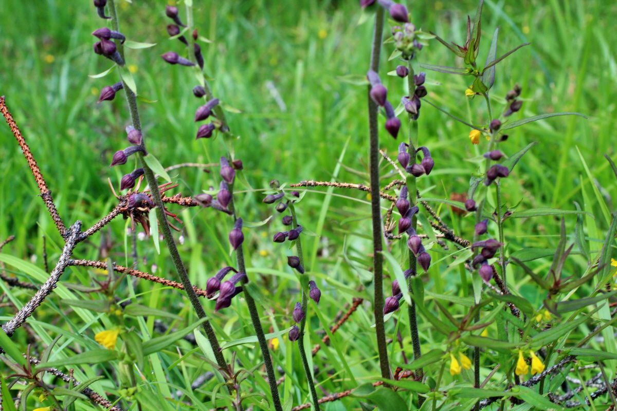 2014_07_28_00005663p_Bildgr��e �ndern