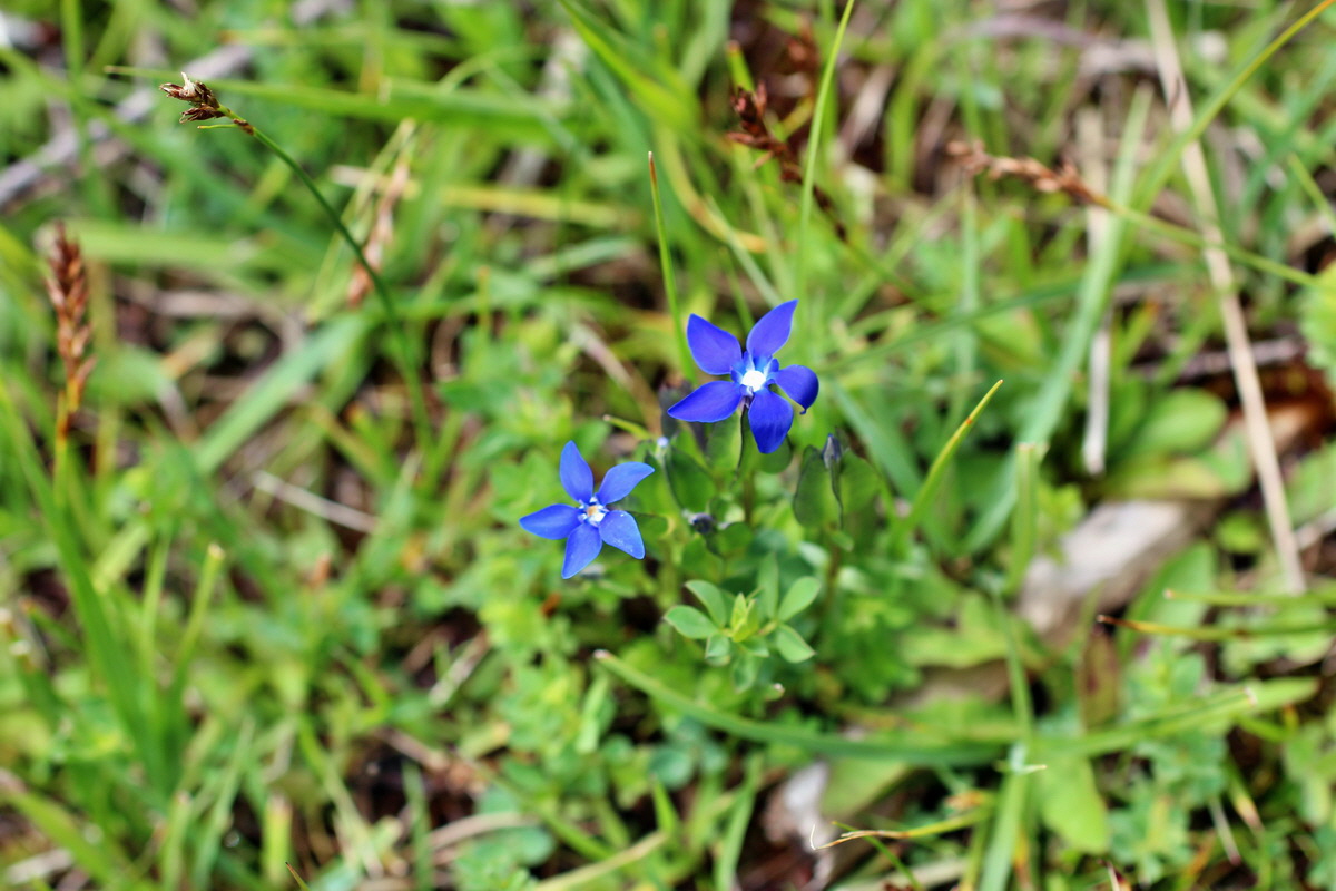 2014_07_28_00005722p_Bildgr��e �ndern