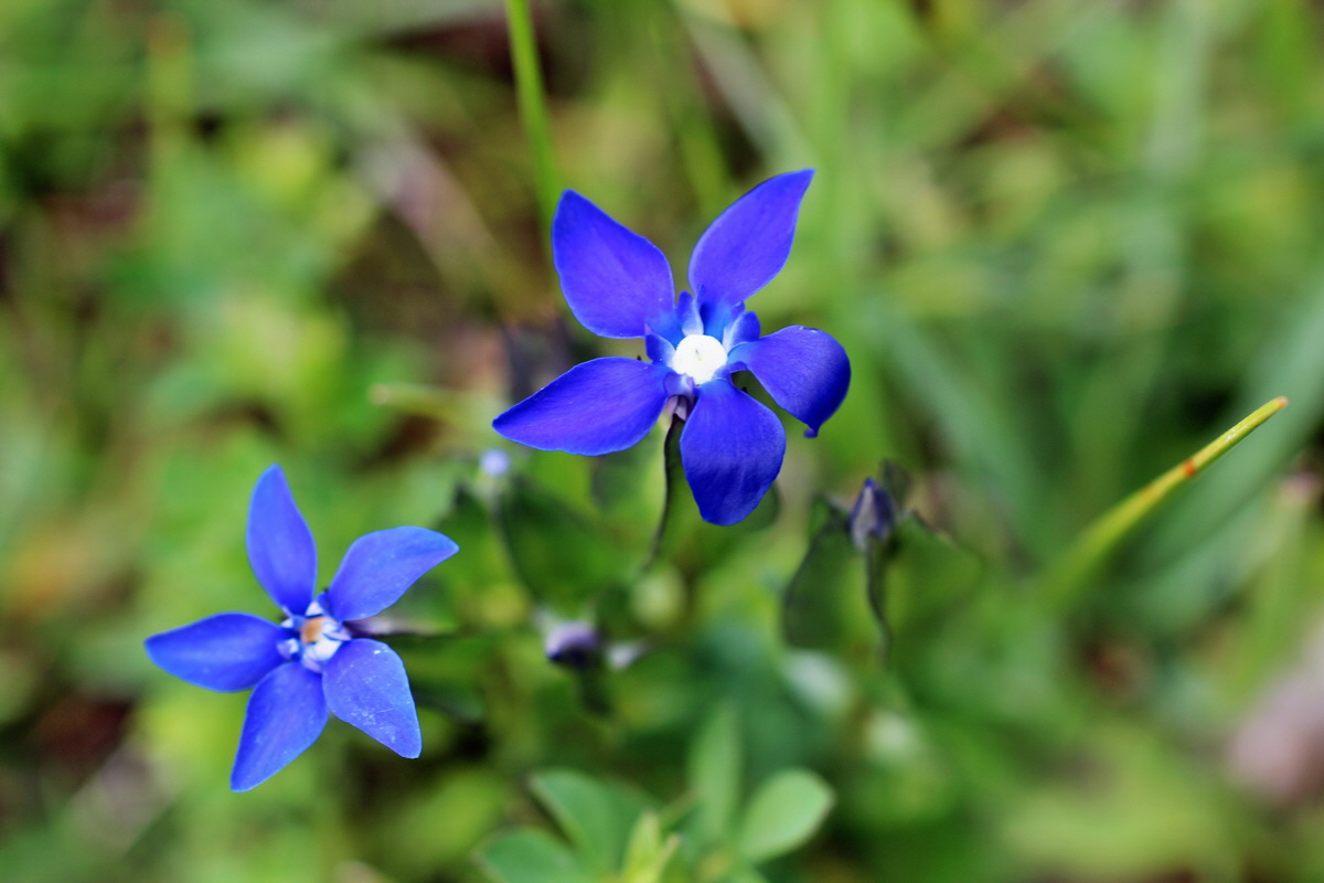 2014_07_28_00005724p_Bildgr��e �ndern