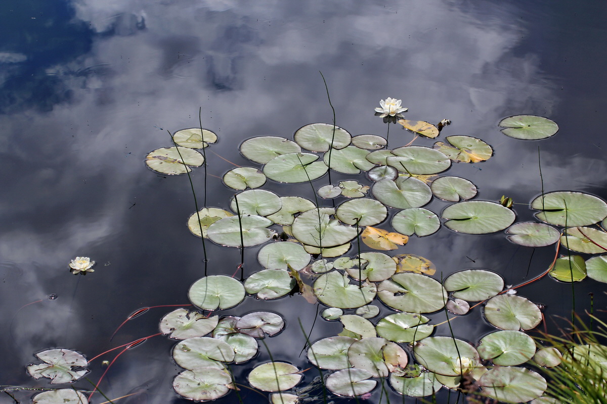 2014_07_28_00005728p_Bildgr��e �ndern