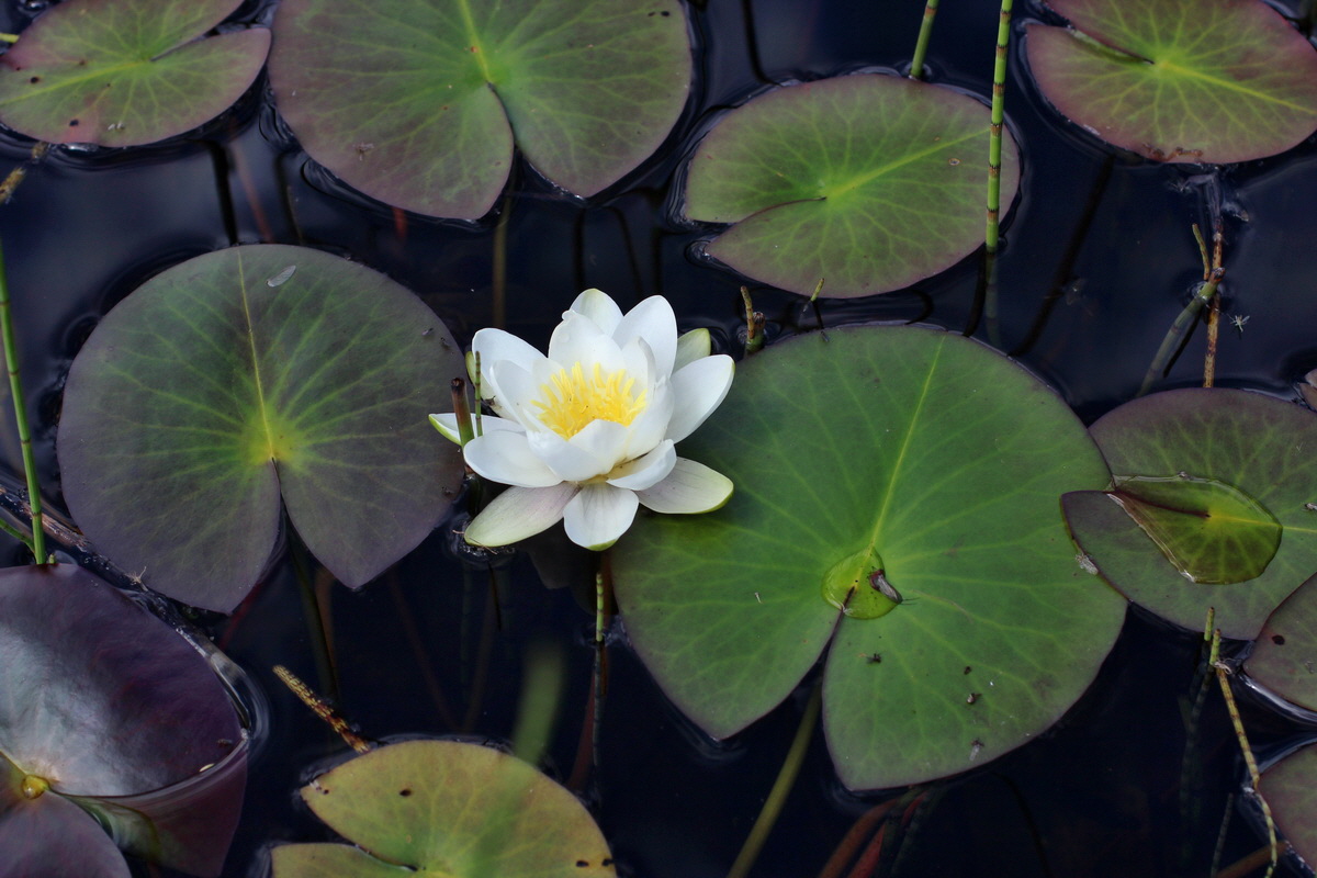 2014_07_28_00005745p_Bildgr��e �ndern