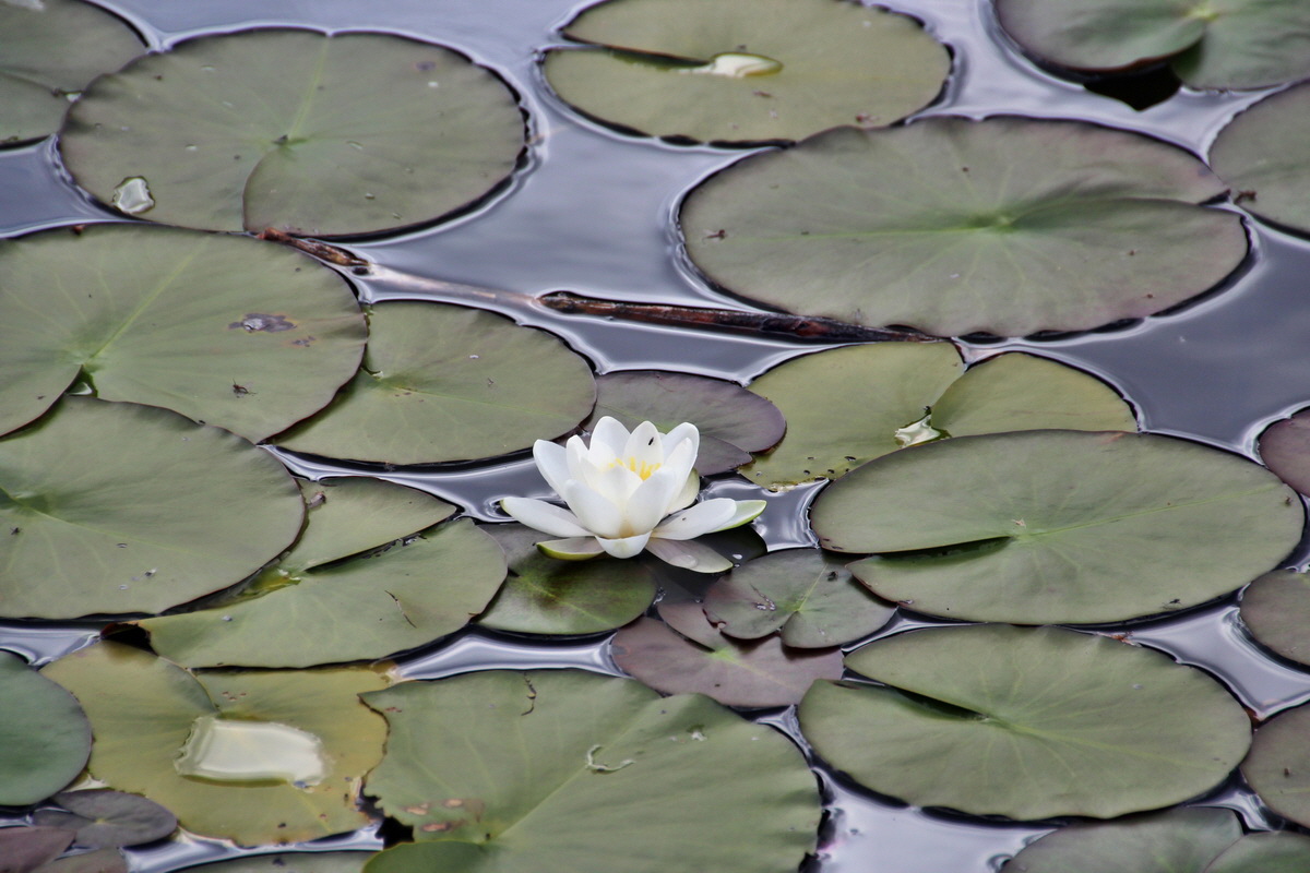 2014_07_28_00005796p_Bildgr��e �ndern