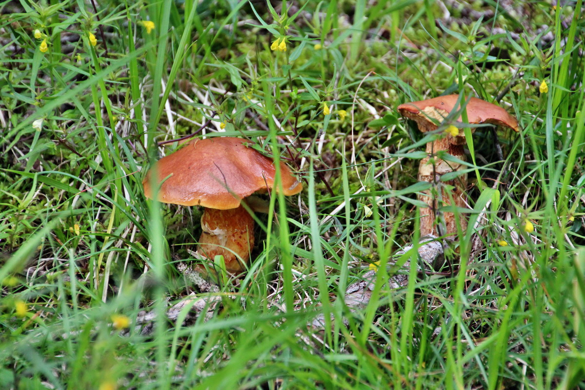 2014_07_28_00005814p_Bildgr��e �ndern