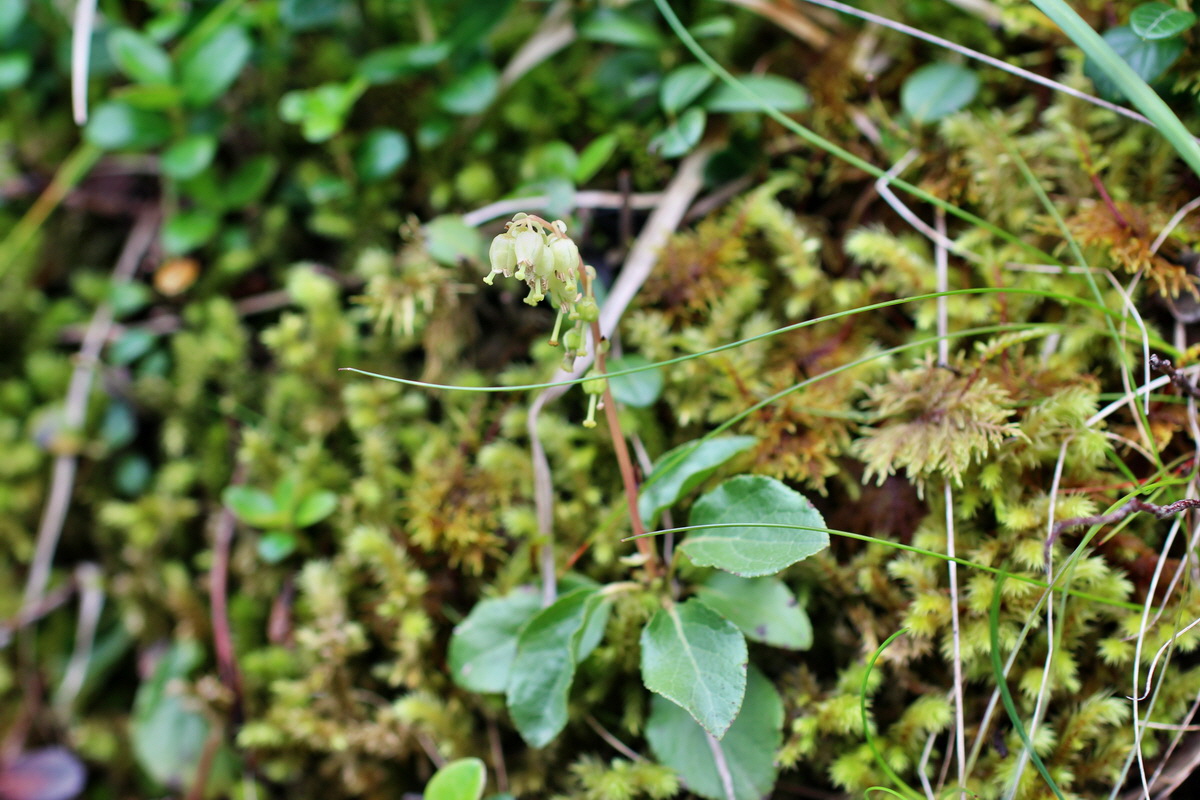 2014_07_28_00005826p_Bildgr��e �ndern