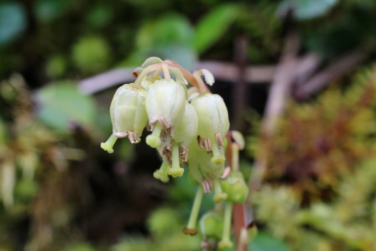 2014_07_28_00005832p_Bildgr��e �ndern