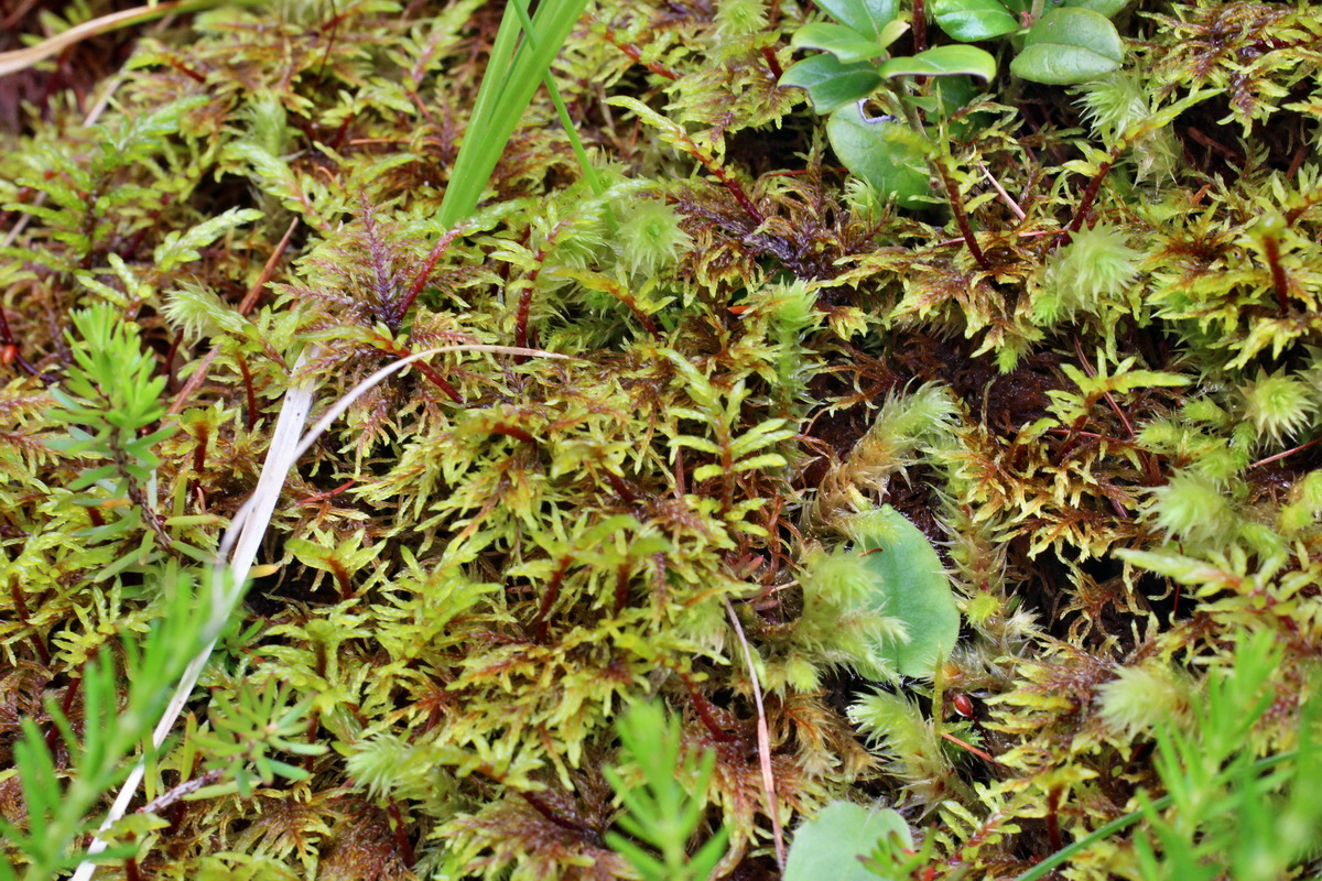 2014_07_28_00005843p_Bildgr��e �ndern