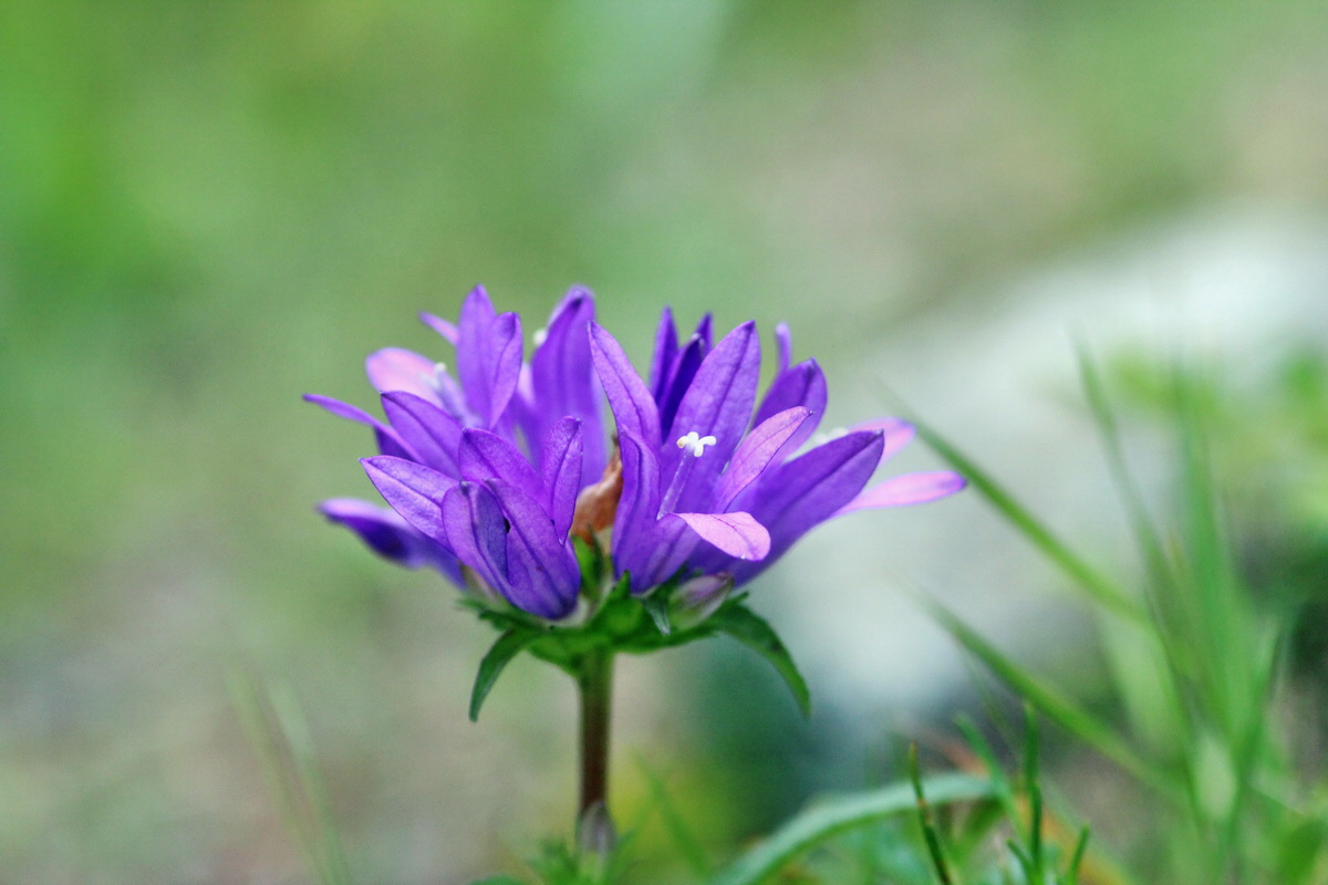 2014_07_28_00005863p_Bildgr��e �ndern