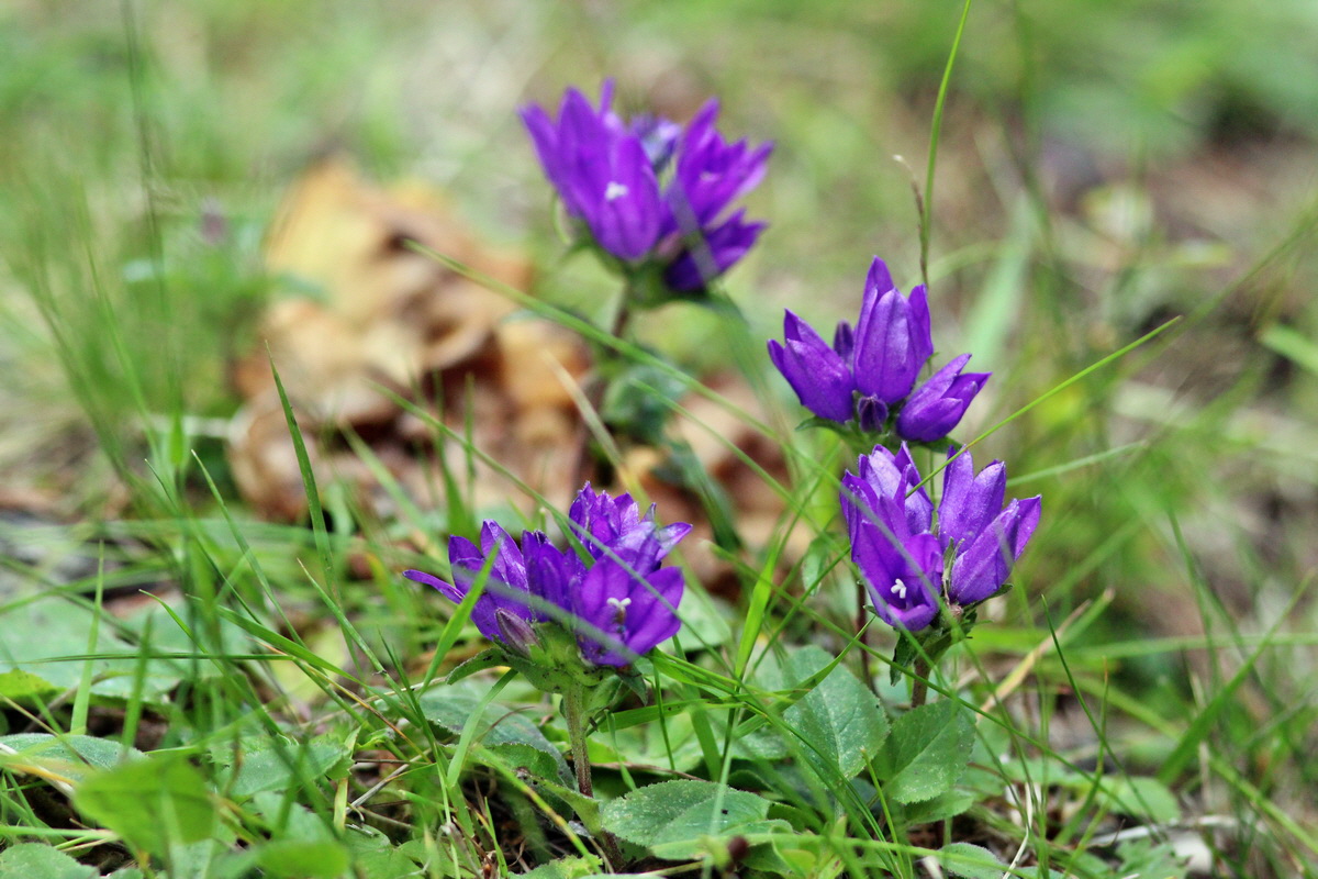 2014_07_28_00005864p_Bildgr��e �ndern