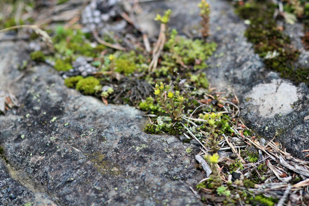 2014_07_28_00005868p_Bildgr��e �ndern