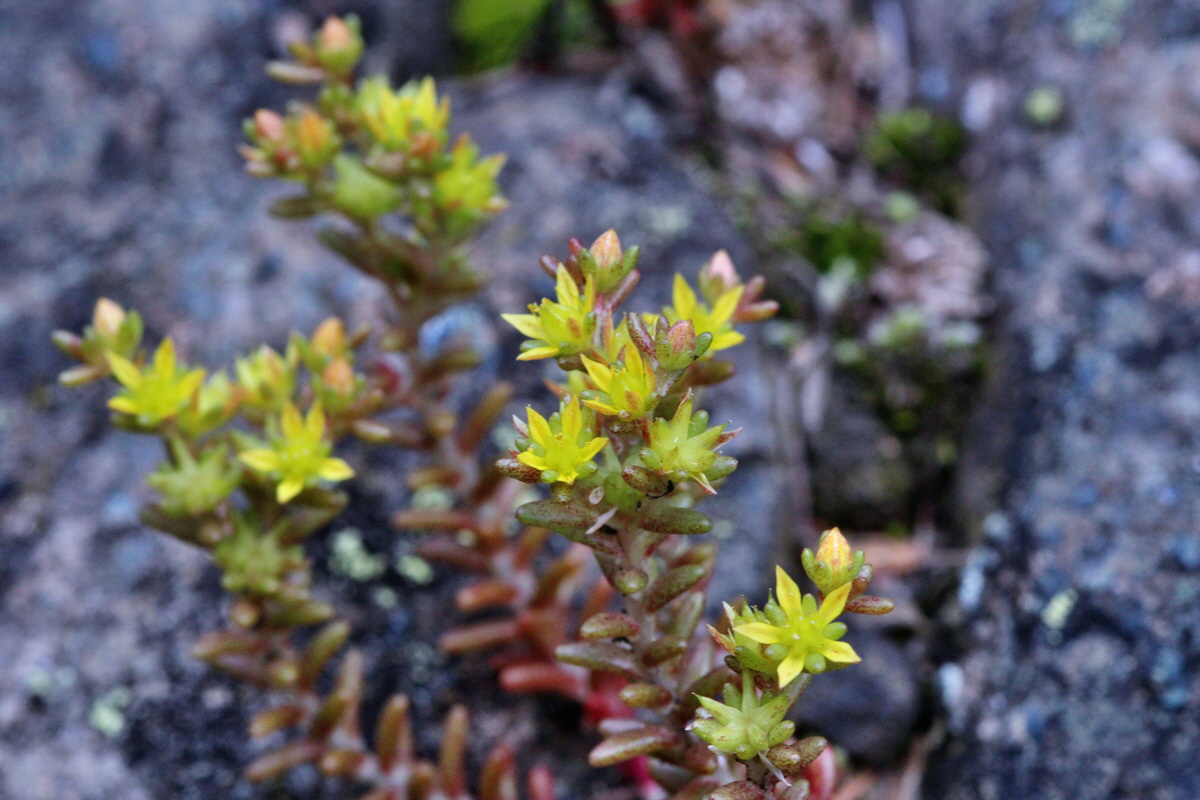 2014_07_28_00005869p_Bildgr��e �ndern